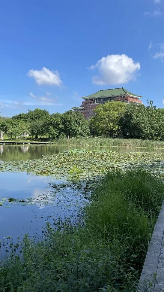 探秘校园之美,走进XX大学的魅力景点 第2张 探秘校园之美,走进XX大学的魅力景点 第2张