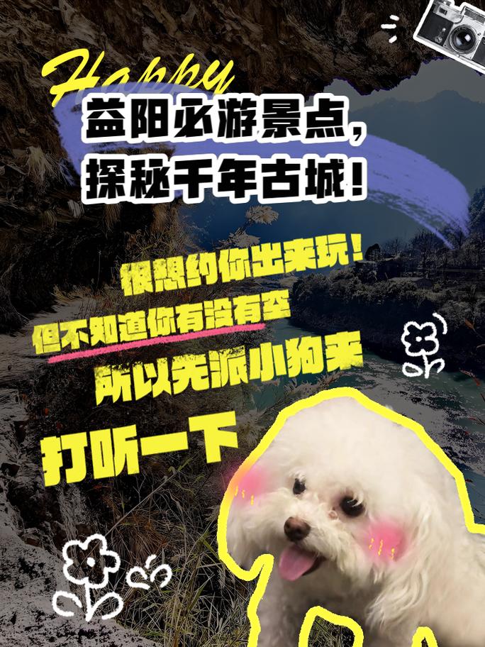 探秘益阳,一场别开生面的历史与自然之旅 第2张 探秘益阳,一场别开生面的历史与自然之旅 第2张