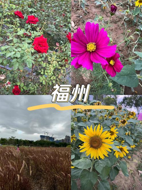 探秘盐城界河公园,生态绿洲中的休闲天堂 第2张 探秘盐城界河公园,生态绿洲中的休闲天堂 第2张