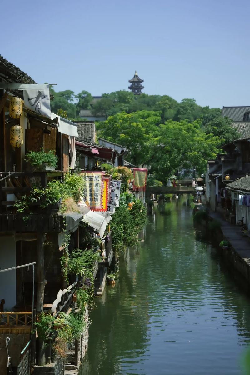 探秘绍兴沥海,古韵江南，生态宜居的世外桃源