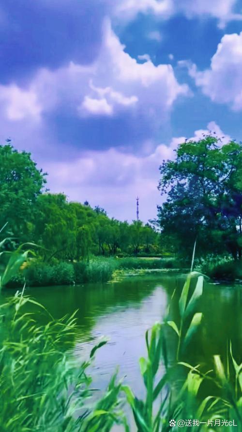探秘绿地樾湖,绿意盎然的人间仙境 第2张 探秘绿地樾湖,绿意盎然的人间仙境 第2张