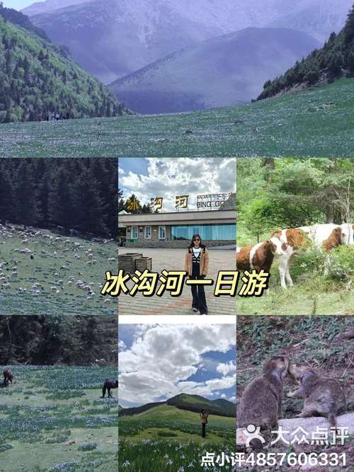 探秘茂县冰河公园,穿越时空的冰河之旅 第2张 探秘茂县冰河公园,穿越时空的冰河之旅 第2张