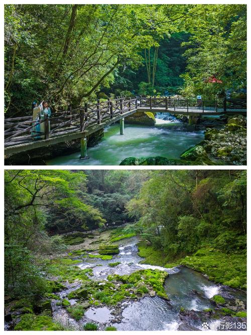 探秘铁山坪,重庆山水之间的绿色秘境 第2张 探秘铁山坪,重庆山水之间的绿色秘境 第2张