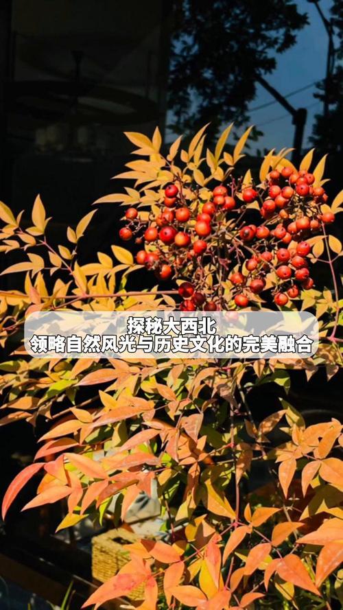 探秘银川宝山公园,自然与历史的完美融合 第2张 探秘银川宝山公园,自然与历史的完美融合 第2张