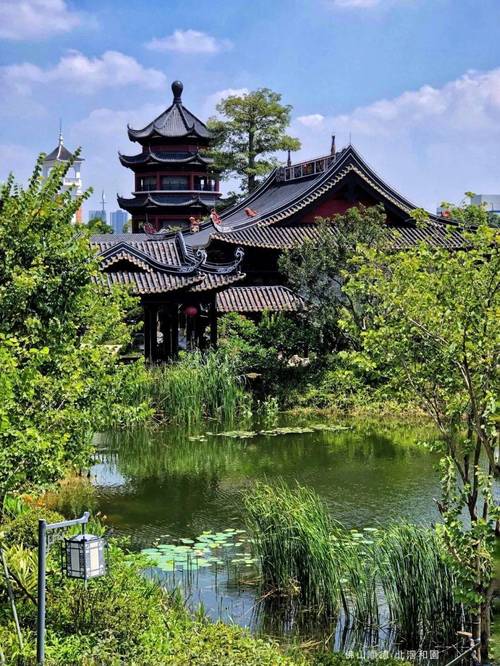 探秘顺德,生态美景与文化底蕴的交融之地 第2张 探秘顺德,生态美景与文化底蕴的交融之地 第2张