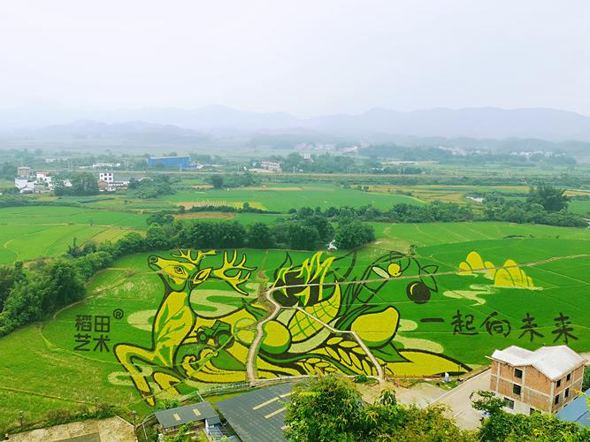 探秘鹿寨,历史沉淀与现代交融的美丽画卷