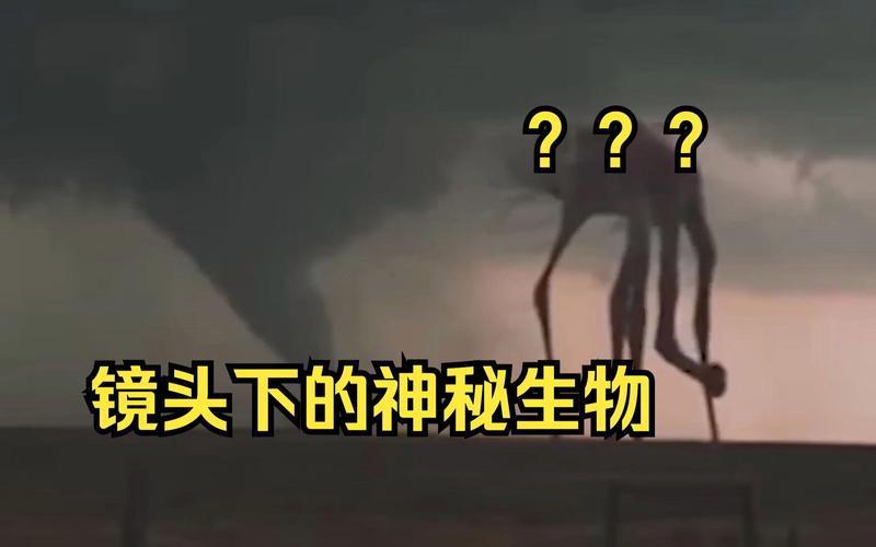 探索未知,介绍神秘外星生物景点 第2张 探索未知,介绍神秘外星生物景点 第2张