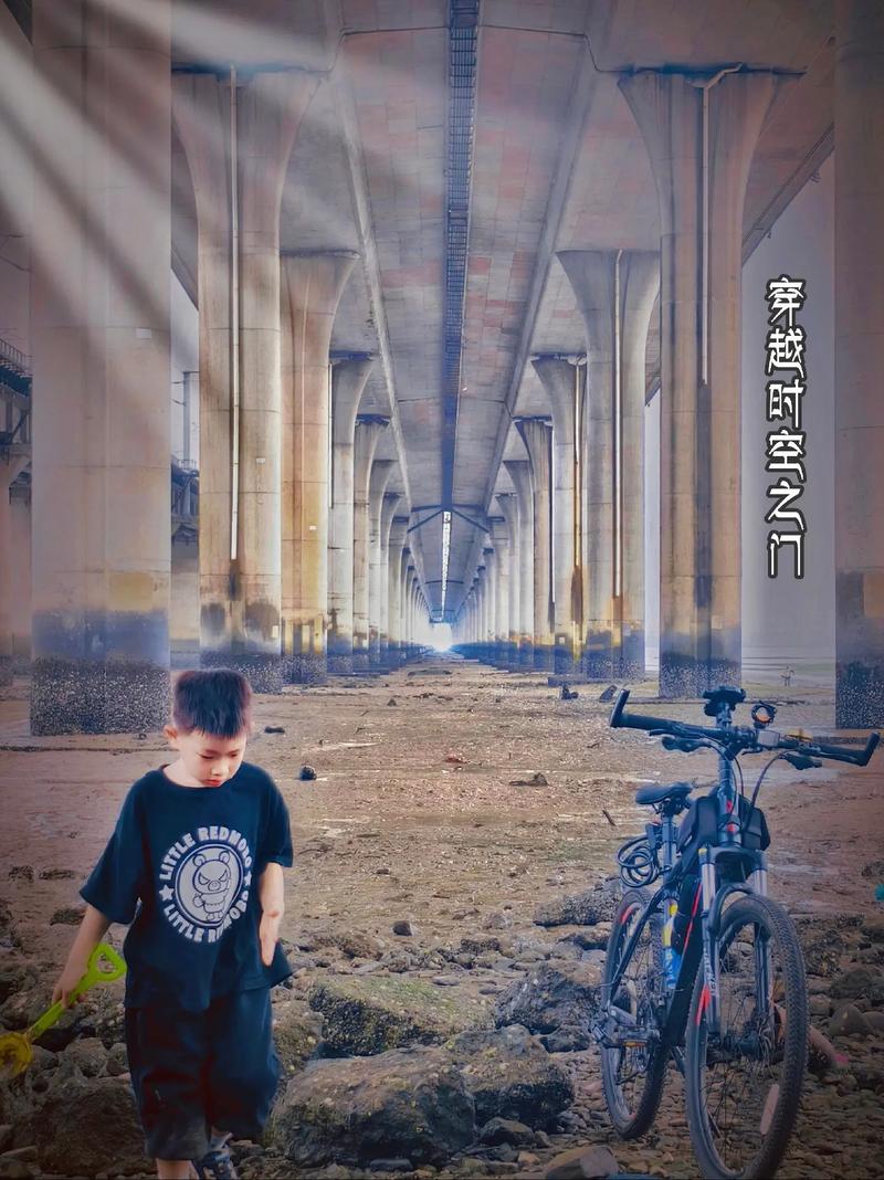 杏林大桥,穿越时空的历史印记
