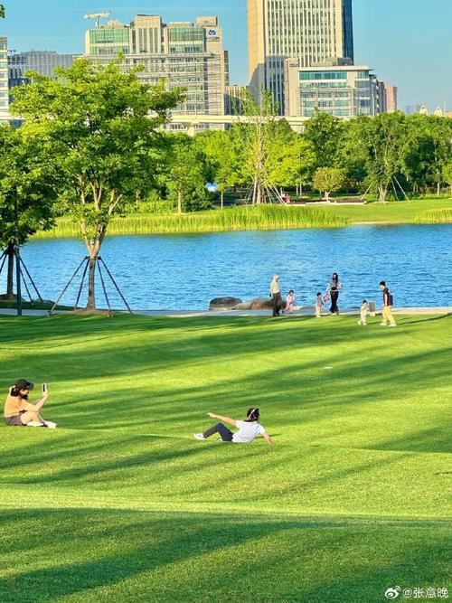 漫步上海优美公园,绿意盎然中的都市休闲天堂
