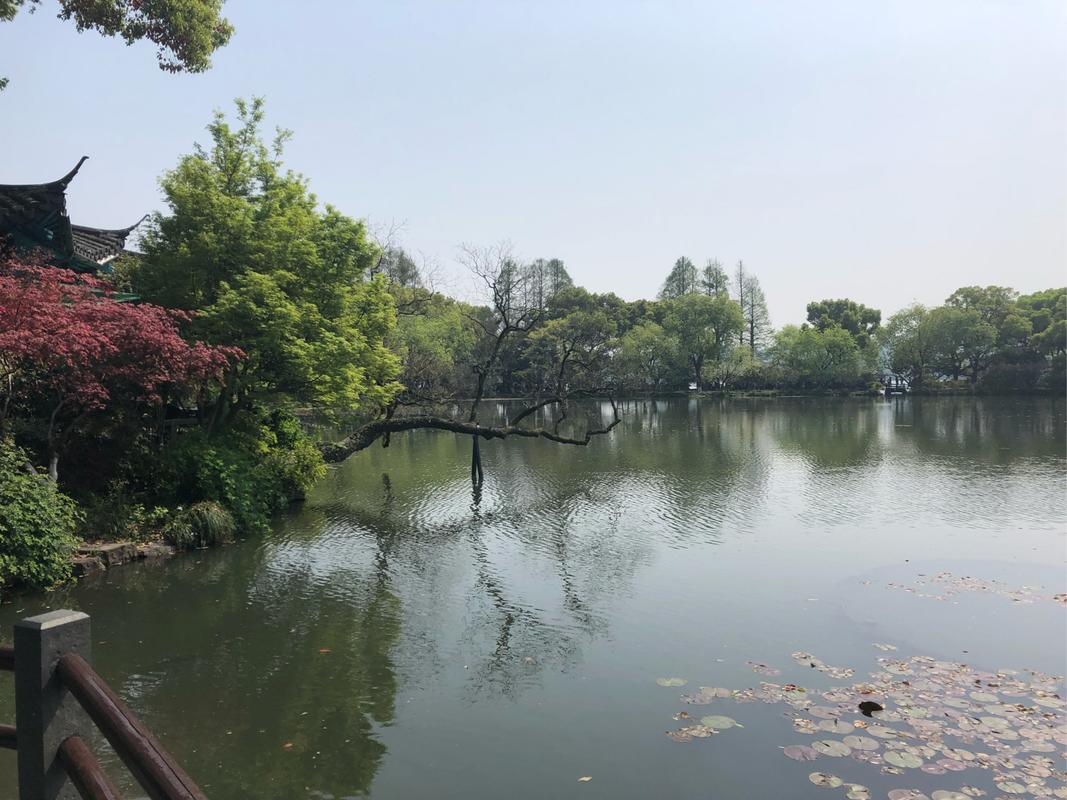 漫步南昌西湖,千年古韵与现代魅力的完美交融 第2张 漫步南昌西湖,千年古韵与现代魅力的完美交融 第2张