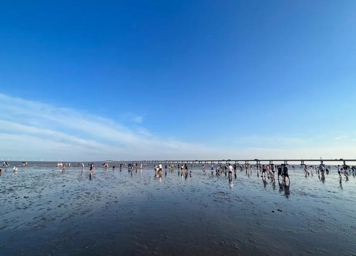 漫步南汇海城海滩,探寻上海滩的宁静之美 第2张 漫步南汇海城海滩,探寻上海滩的宁静之美 第2张