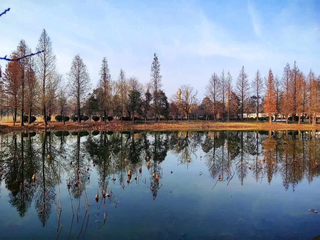 漫步太白湖,探寻济宁的自然与人文之美 第2张 漫步太白湖,探寻济宁的自然与人文之美 第2张