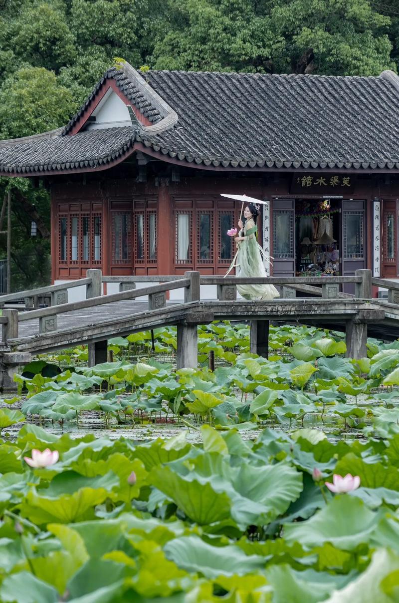 漫步广州西湖公园,一场生态与历史的完美邂逅 第2张 漫步广州西湖公园,一场生态与历史的完美邂逅 第2张