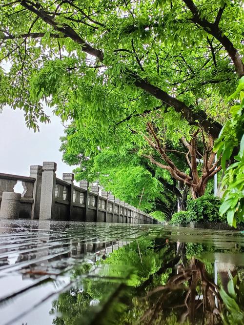 漫步广州雨季,探寻诗意盎然的浪漫景点 第2张 漫步广州雨季,探寻诗意盎然的浪漫景点 第2张
