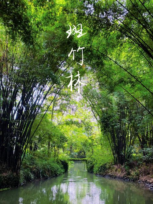 漫步成都大竹公园,寻绿意盎然,品生活美学 第2张 漫步成都大竹公园,寻绿意盎然,品生活美学 第2张