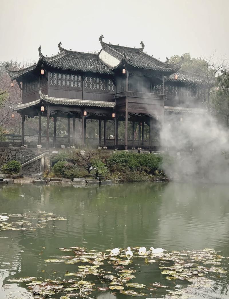 漫步泰州城北湿地,探寻江南水乡的自然秘境 第2张 漫步泰州城北湿地,探寻江南水乡的自然秘境 第2张