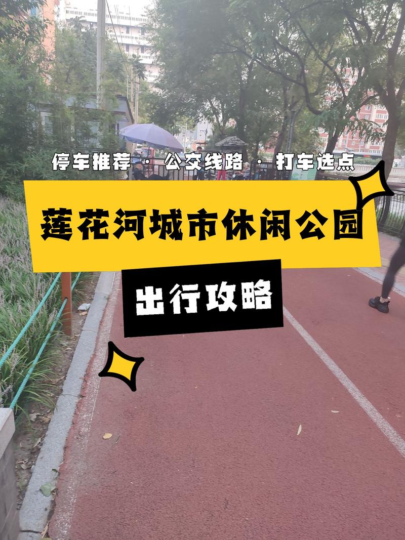 漫步衡阳莲花公园,探寻城市绿肺,感受自然之美 第2张 漫步衡阳莲花公园,探寻城市绿肺,感受自然之美 第2张