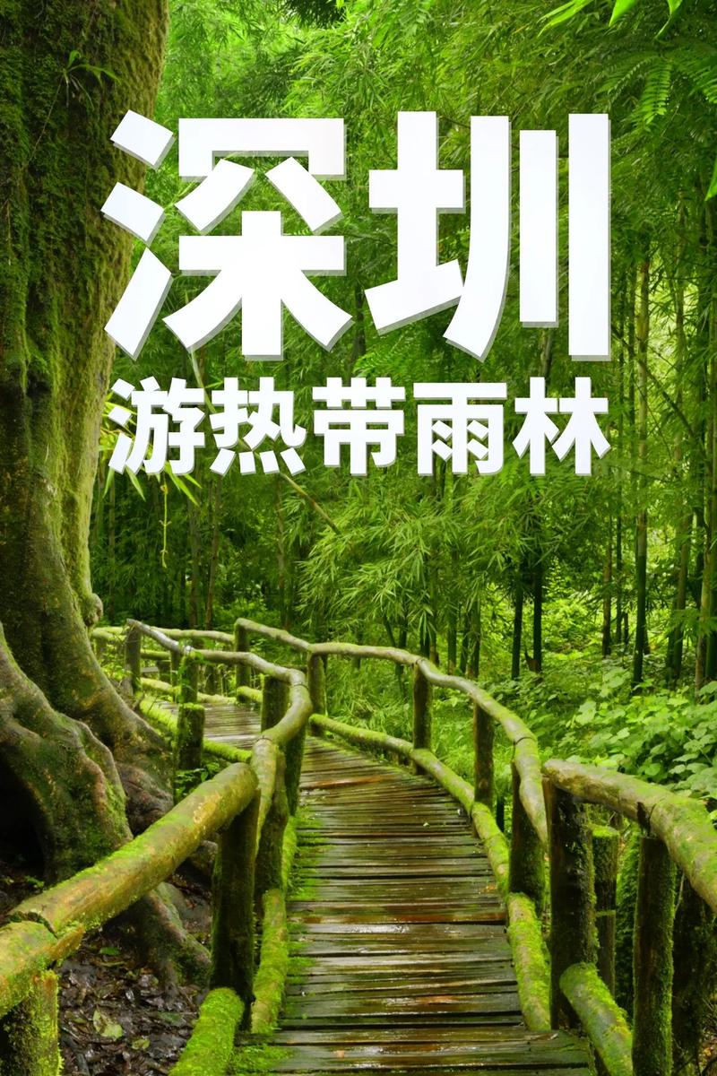 漫步青青世界，感受深圳生态之美