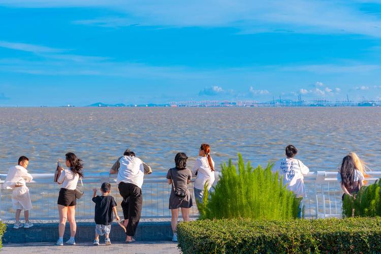 禅城公园海边,探寻心灵的宁静之地 第2张 禅城公园海边,探寻心灵的宁静之地 第2张