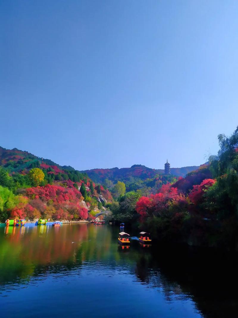 秋意盎然，武汉公园红叶景点赏心悦目之旅