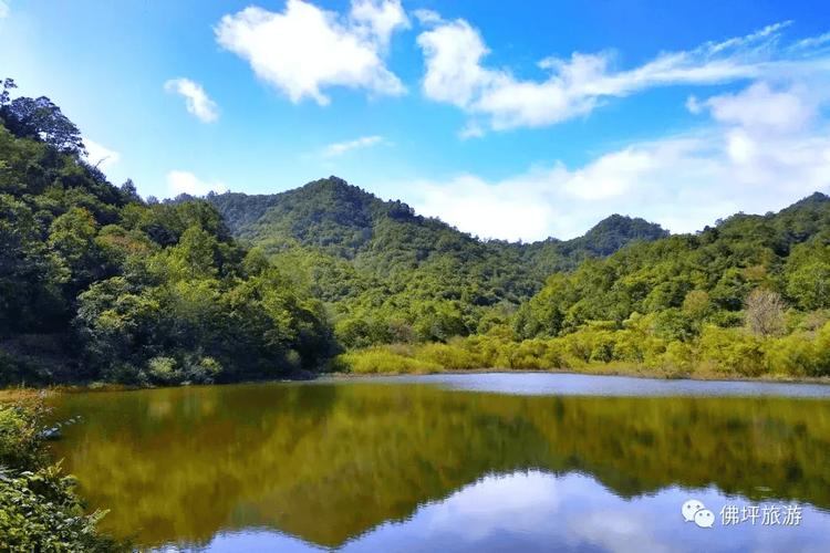 秦岭初春,踏青寻幽,感受自然之美 第2张 秦岭初春,踏青寻幽,感受自然之美 第2张