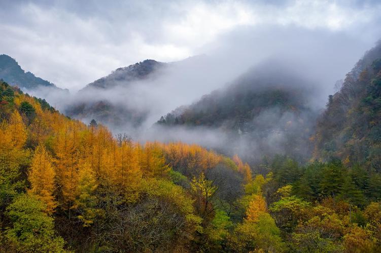 秦岭公路,穿越山水画卷,探寻自然奇观 第2张 秦岭公路,穿越山水画卷,探寻自然奇观 第2张