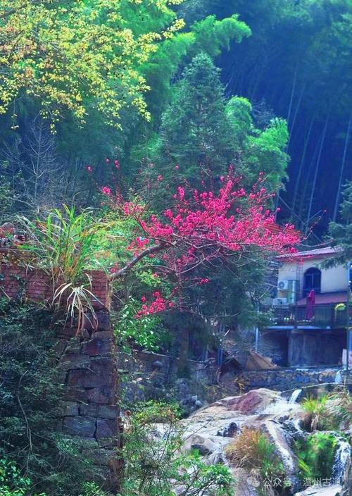 芷溪谷,隐匿于山间的世外桃源,探寻自然之美 第2张 芷溪谷,隐匿于山间的世外桃源,探寻自然之美 第2张