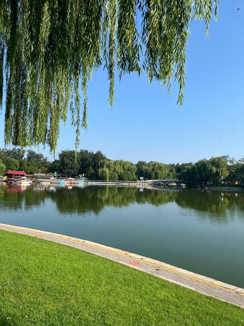 莲花公园,城市绿洲中的文化瑰宝 第2张 莲花公园,城市绿洲中的文化瑰宝 第2张