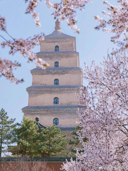 西安倒春寒,探寻古都独特春日美景  第2张