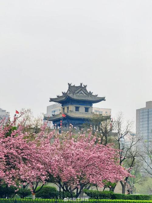 西安春日寻韵,探秘古都的生机盎然之美 第2张 西安春日寻韵,探秘古都的生机盎然之美 第2张