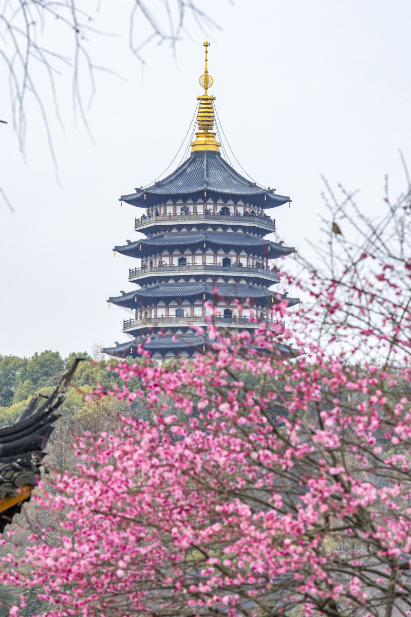 西湖五一,春意盎然的五一之旅,漫步人间天堂 第2张 西湖五一,春意盎然的五一之旅,漫步人间天堂 第2张