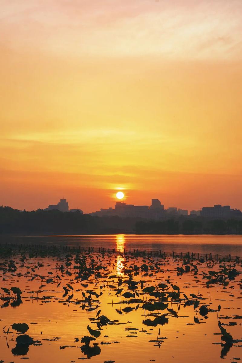 西湖日出的诗与远方_探寻大自然的绝美画卷  第2张