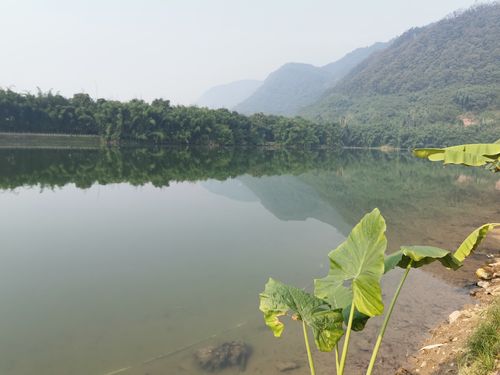 遂宁水库沙滩,一处休闲度假的世外桃源 第2张 遂宁水库沙滩,一处休闲度假的世外桃源 第2张