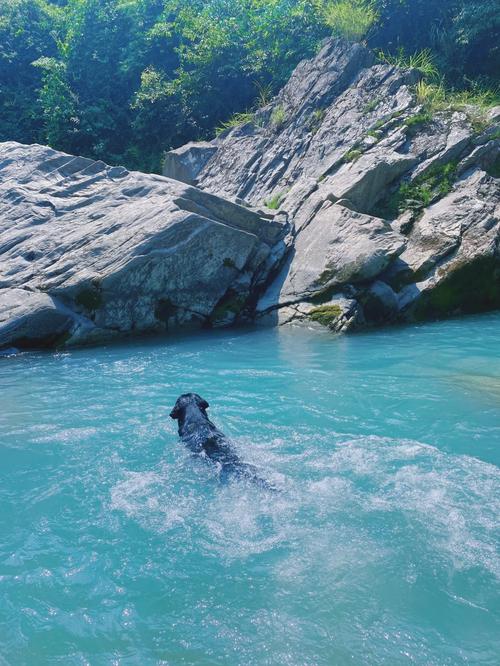 金寨玩水浅滩,畅享夏日清凉时光 第2张 金寨玩水浅滩,畅享夏日清凉时光 第2张