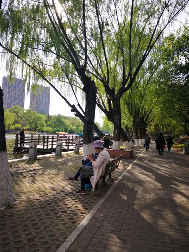 阜阳同城游,探寻古韵新颜，尽享悠闲时光