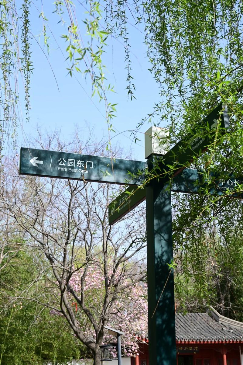 阜阳龙井公园,自然与人文的和谐交响曲 第2张 阜阳龙井公园,自然与人文的和谐交响曲 第2张
