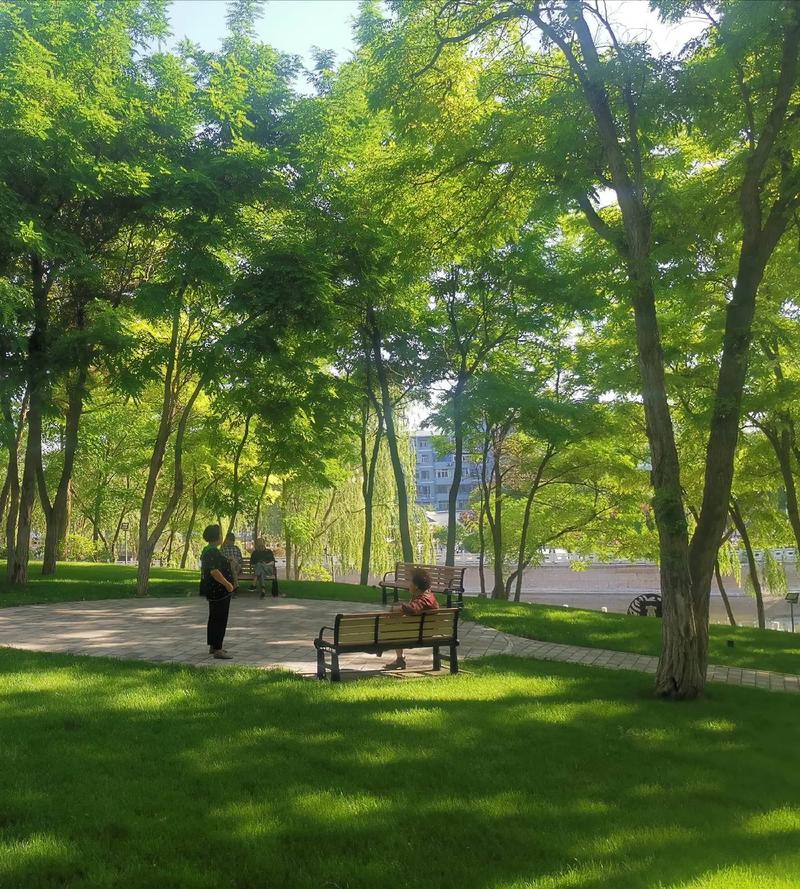 青岛,漫步绿意盎然的草坪,感受城市中的自然呼吸 第2张 青岛,漫步绿意盎然的草坪,感受城市中的自然呼吸 第2张