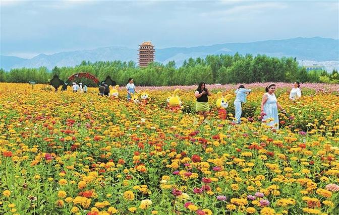 鹤壁赏花之旅,漫步花海，感受自然之美