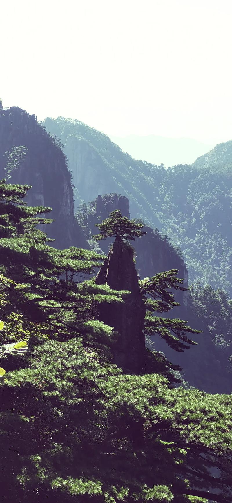 黄山,自然奇观与人文历史的完美融合 第2张 黄山,自然奇观与人文历史的完美融合 第2张