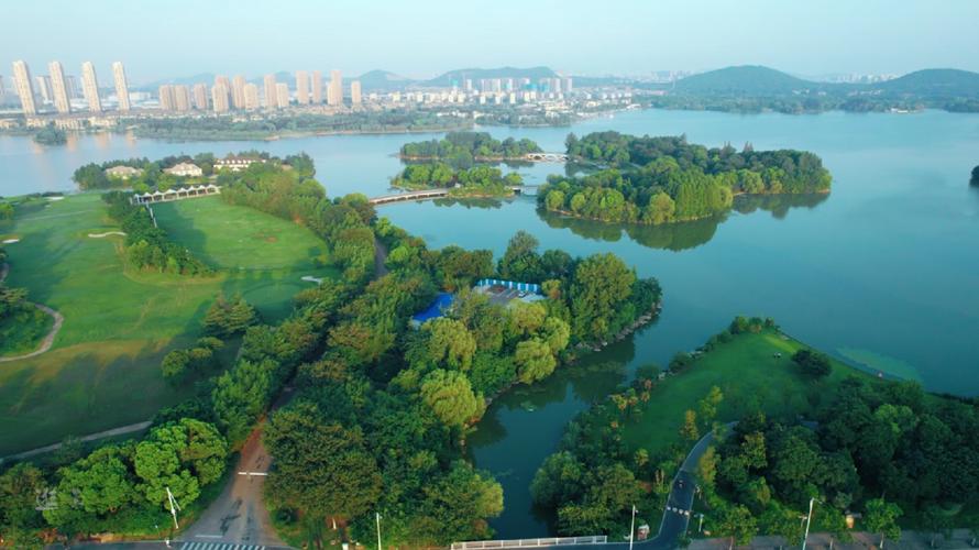 龙湖公园,城市绿肺中的宁静仙境