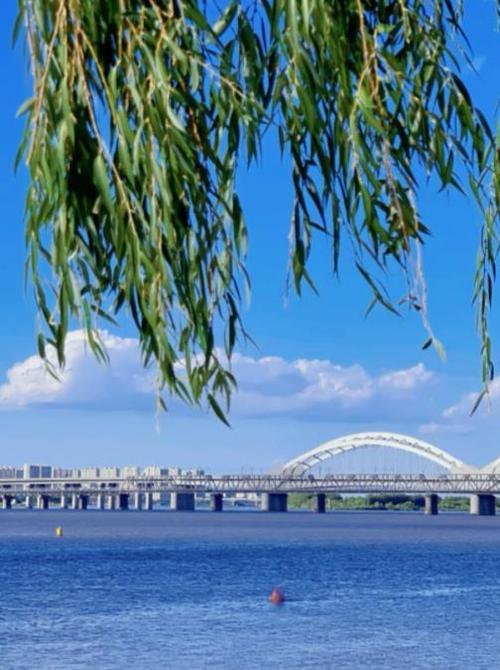 夏日抚顺之旅,探寻东北风光,感受清凉魅力 第2张 夏日抚顺之旅,探寻东北风光,感受清凉魅力 第2张