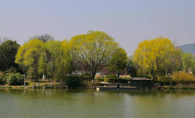 徐州市赏花公园,春意盎然的自然画卷 第2张 徐州市赏花公园,春意盎然的自然画卷 第2张