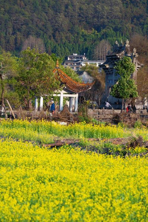 探寻历史遗韵，金乡西门古城,一座活生生的历史教科书