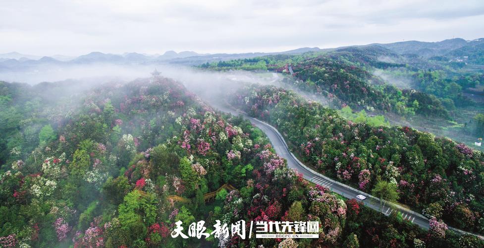 探寻毕节美景，感受黔西文化魅力