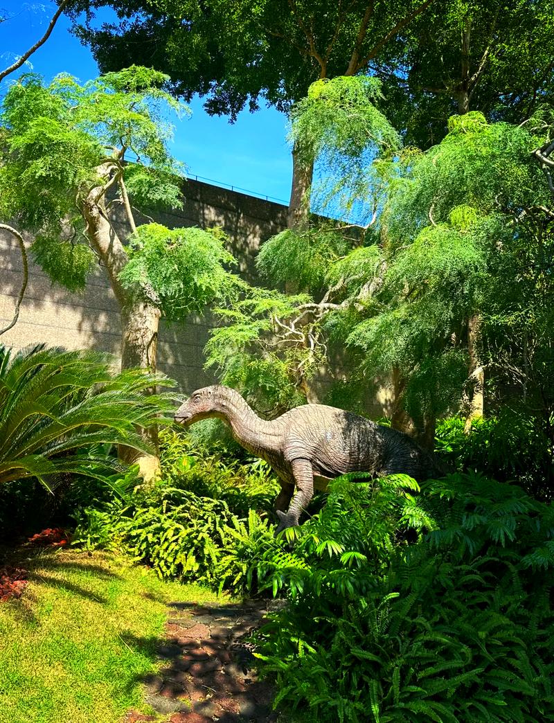 探秘大鹏环保景点,绿色之旅，引领未来生活方式