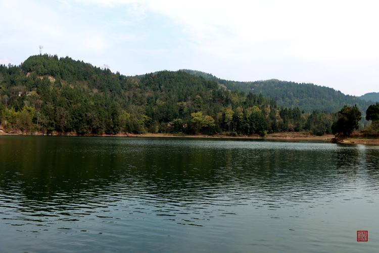 清水湖公园,生态宜居的休闲胜地