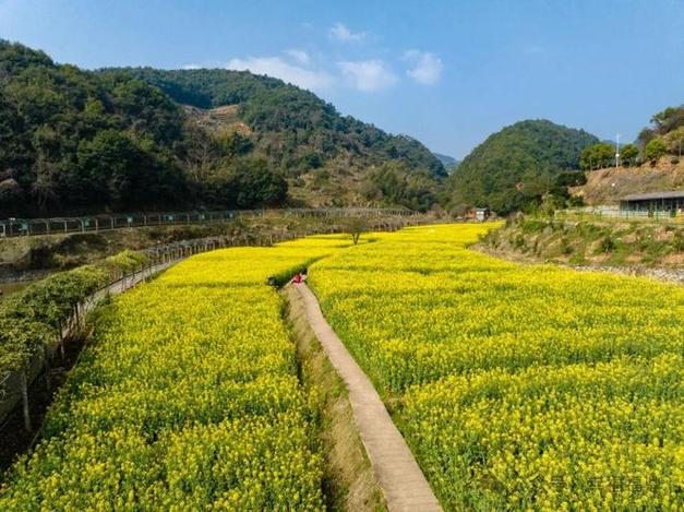 漫步漳浦农场公园,探寻自然之美，感受田园风光