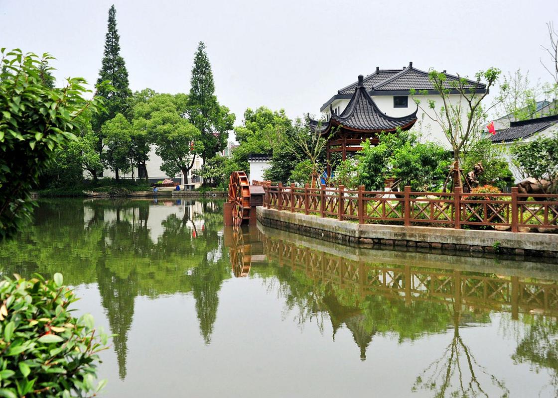 盐城踏青之旅,探寻江南水乡的绿色秘境