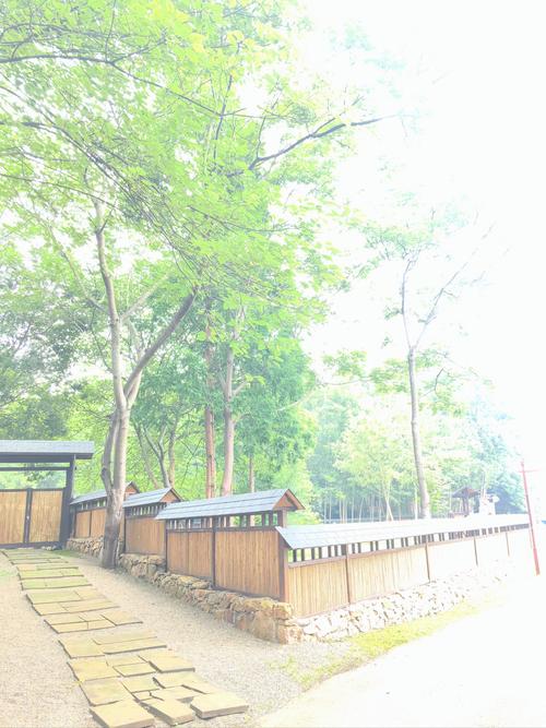 西充城北公园,绿色生态与历史文化的完美融合