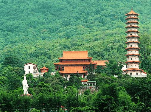 南山周边景点大全,探寻广州都市绿肺的自然魅力